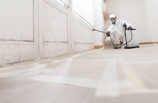24/7 Emergency Mold Remediation experts in McGuire AFB, NJ