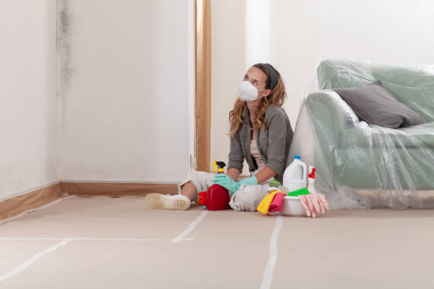 Reliable Mold Remediation contractor in McGuire AFB, NJ by 24 Hour Mold Removal
