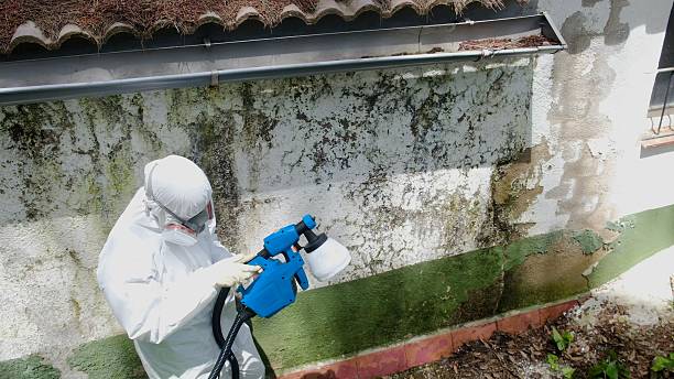 Top rated local Mold Remediation specialists in McGuire AFB, NJ